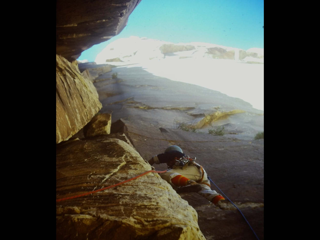 An Epinephrine FA: Excerpt From Collages Of Rock & Desire By Joanne Urioste