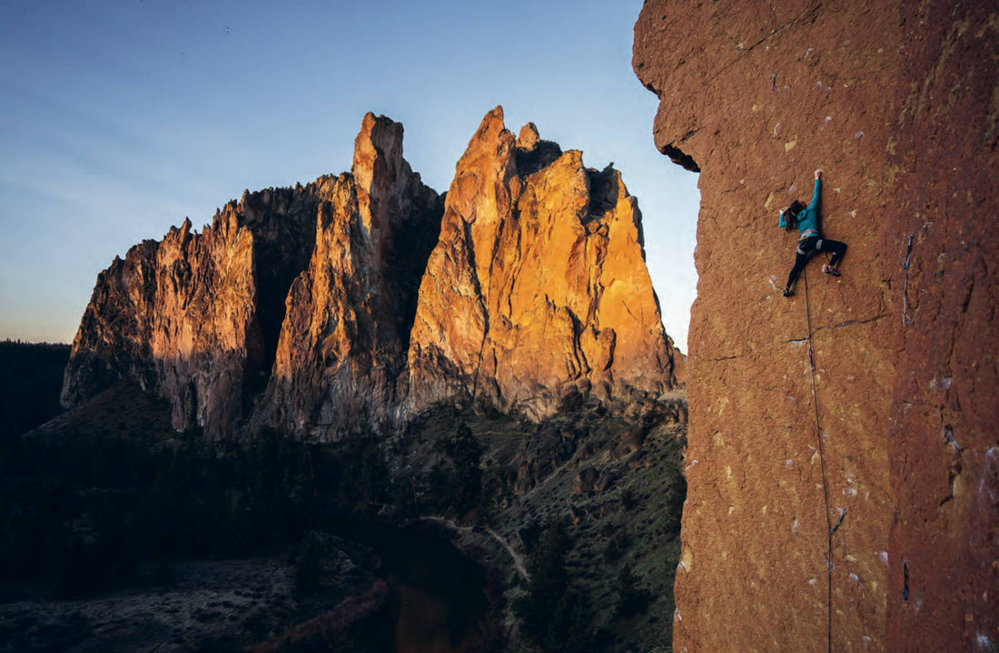 Into The Light: Q&A with Tara Kerzhner