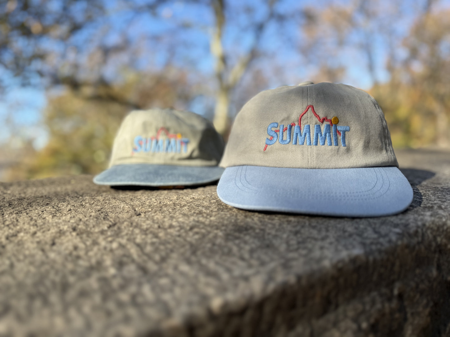 Retro '90s Summit Hat